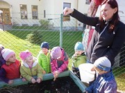 Sklízíme úrodu na školní zahrádce